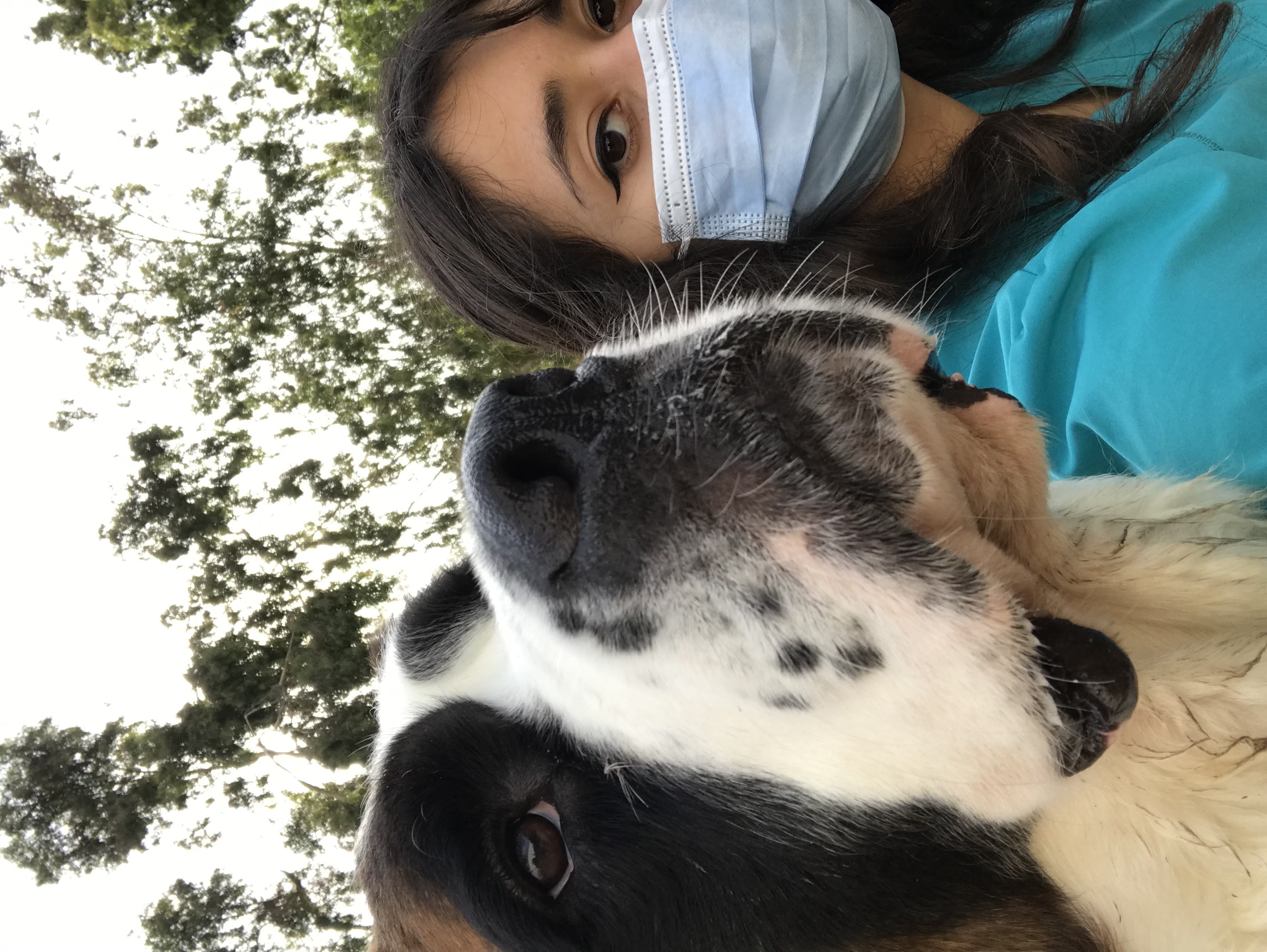 St. Bernard Selfie