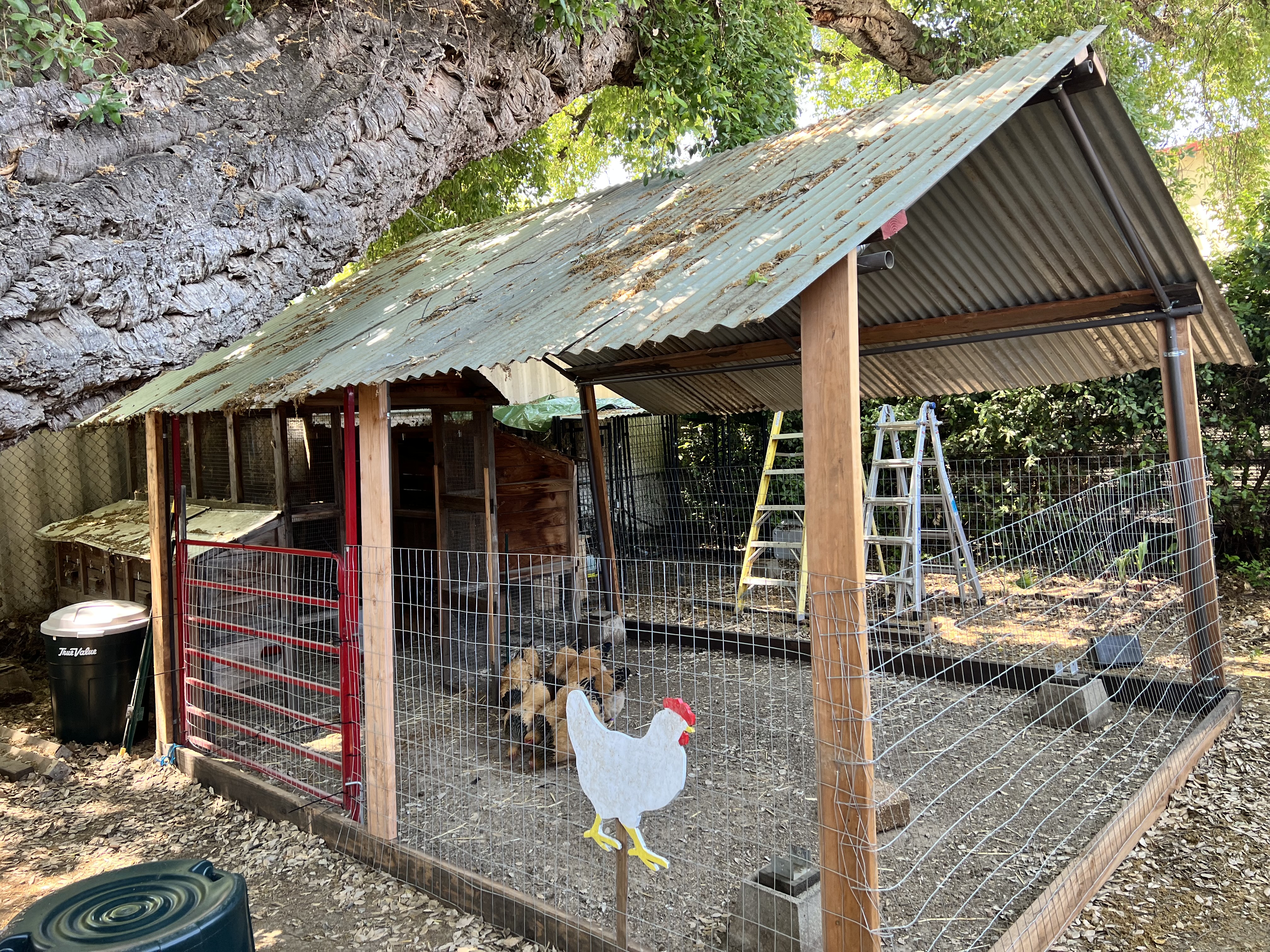 Chicken coops