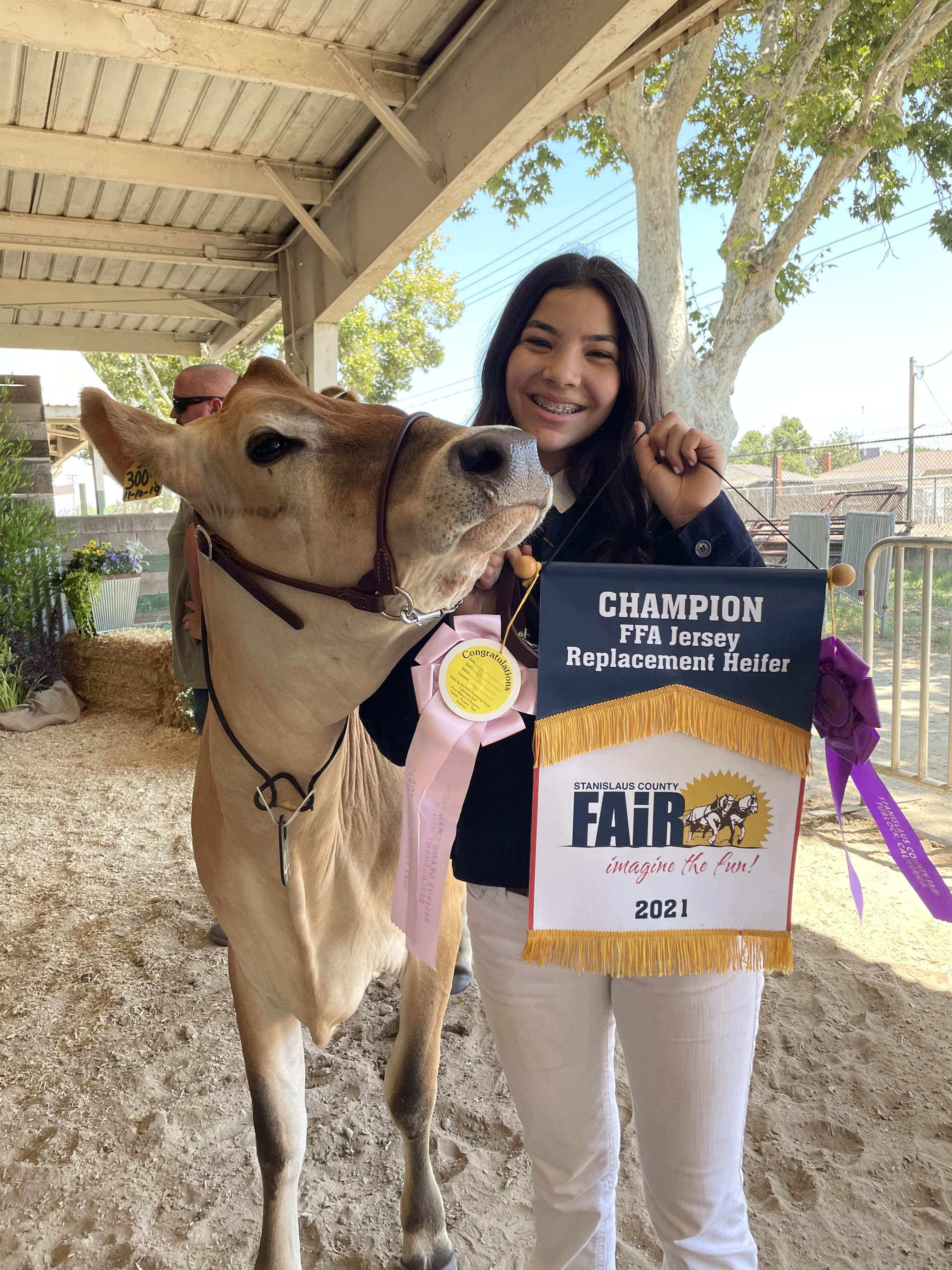 County Fair